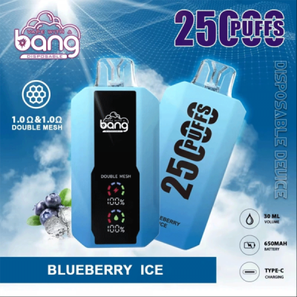 Bang Beach 25000 puffs