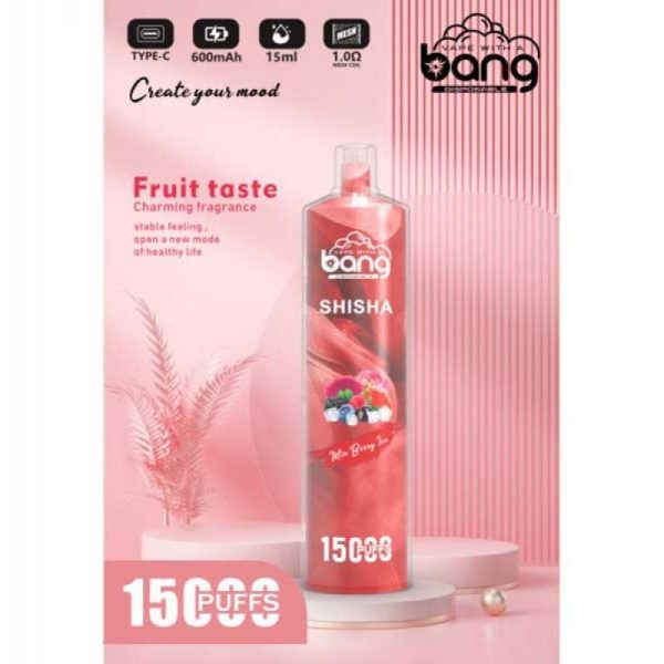bang-disposable-15000-puffs-blueberry-kiwi