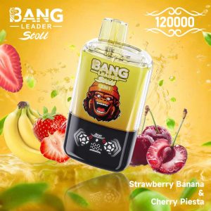 BANG LEADER STOLL 120K Dual Flavor delivers up to 120000 puffs with rich dual-flavor pods, a long-lasting 650mAh battery, 1.0ohm mesh coil, and Type-C charging.