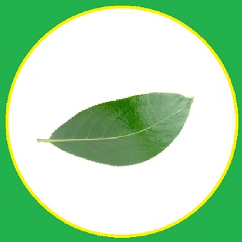 leaf beeyevape